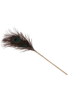 Plumeau � caresses Peacock Tickler - Taboom