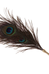 Plumeau � caresses Peacock Tickler - Taboom